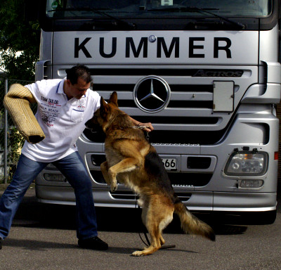 Foto von Michael Kummer mit Wachhund, verantwortlich für das Fuhrparkmanagement der Spedition Paul Kummer GmbH aus Asperg bei Ludwigsburg vor einer Mercedes-Benz Zugmaschine aus dem Fuhrpark